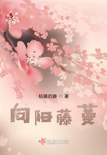 旺苍县财政所在哪里