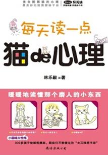 秀英区财税服务推荐