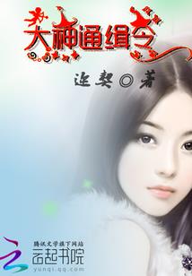 高级会计师故事