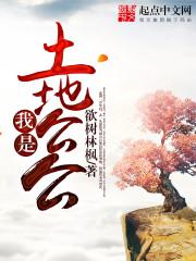 初级会计德州出成绩