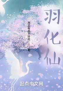 总会计师的性质