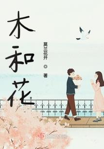 海城二道河村会计