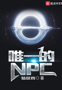 现代会计管理特征包括