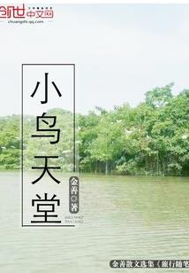 注册会计代理公司