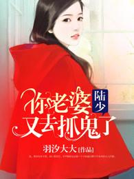 曲靖会计培训考试网