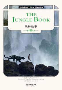 会计专业学的基础