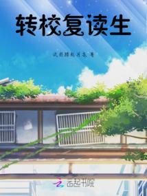 会计师平时做什么工作