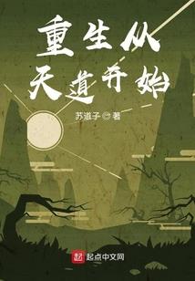中级会计女老师直播视频