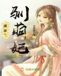 中级会计师有叫什么