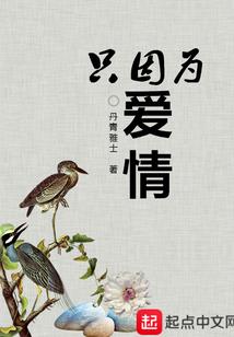 小白考cpa很难吗