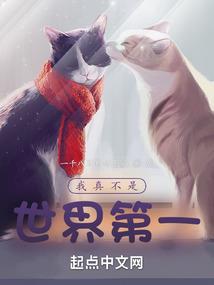 财政评审金额