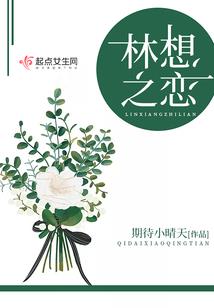 大专会计师怎么考执业