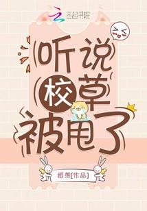 初级会计2018报名
