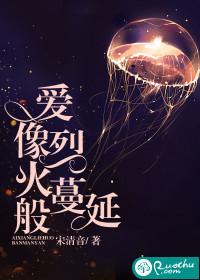 财税第3集