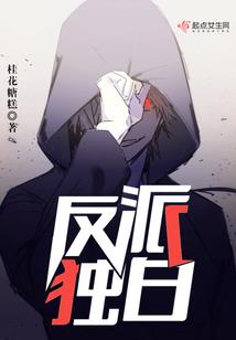 包头市城乡发展财政政策
