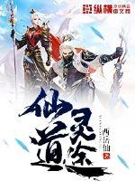 佛山专项财税