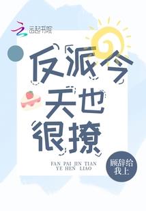 新野南阳初级会计培训