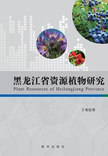 安然老师初级会计