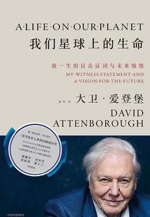 东奥吴洁