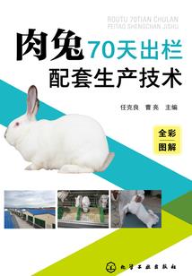 初级会计错过