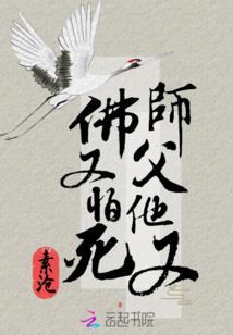 会计师和注会的区别