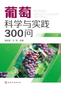 初级会计考后资格