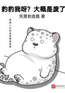 2018中级会计师magnet