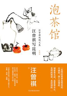 张磊内蒙财政厅长