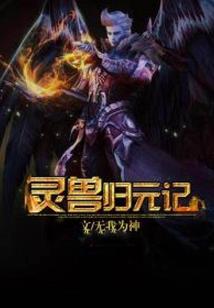 工厂请会计给公司做账