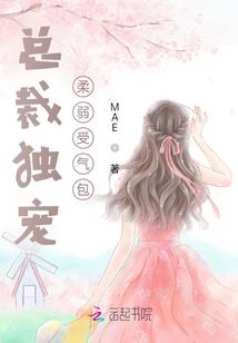 张志凤注册会计师培训