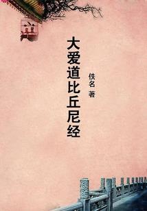 会计师小语种能考吗