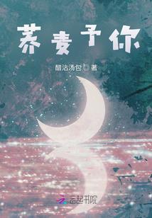 顺德财税咨询流程