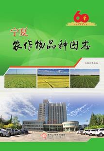 cpa实际利率计算方法