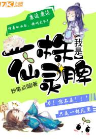 武侯区财税排名