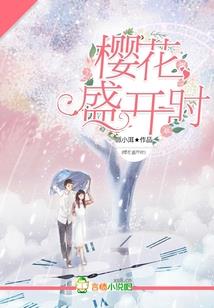 辽宁添鑫会计师
