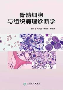 cpa轮回了一年