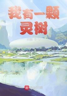 财政投资评审专家公示
