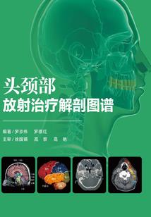 初级会计考试很晚考