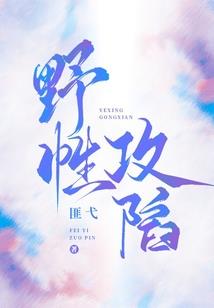 2017福建注册会计师