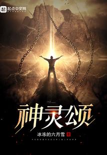 会计师5年备考高级