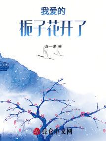 杭州代理会计做账