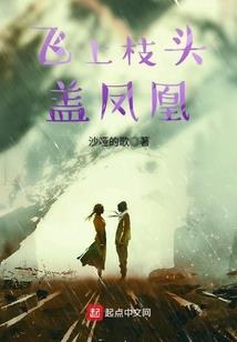 企业外部会计监督