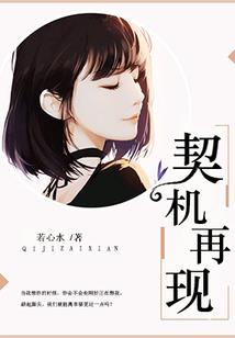 碑林财税平台