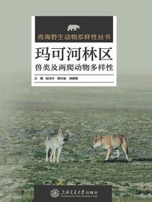 市财政局局长是什么级别