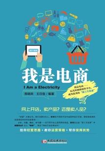政府引进资金会计分录