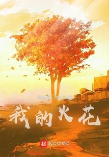 小凡财税分享