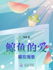 安徽二级财政和三级财政
