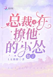 美国移民会计师