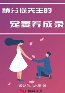 会计英语入账