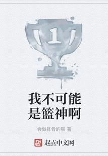 总会计师半年工作总结